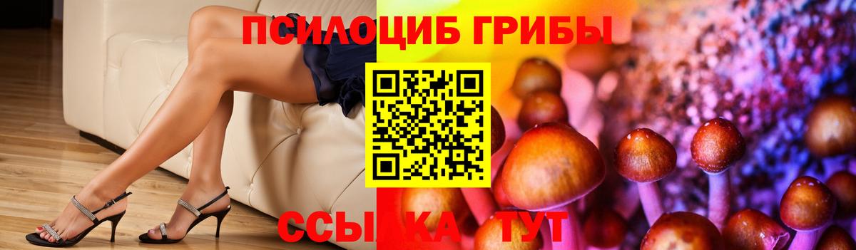 Галлюциногенные грибы MAGIC MUSHROOMS  Галлюциногенные грибы Magic Shrooms  Вход с VPN  Кулебаки 